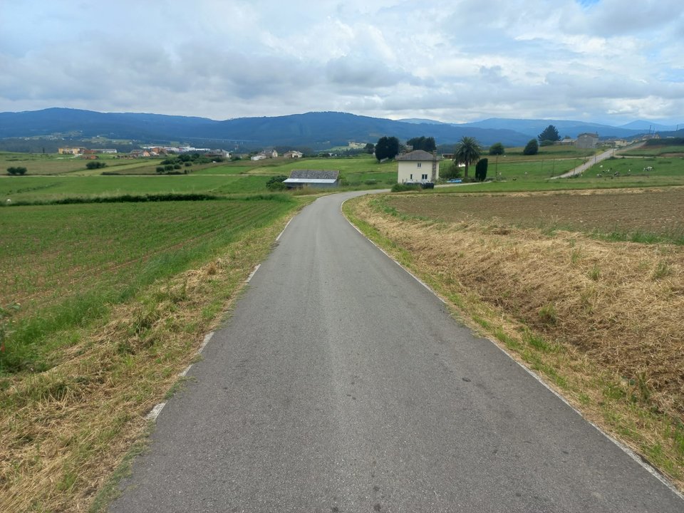 TRABALLOS DE DESBROCE EN VILARONTE (FOZ)