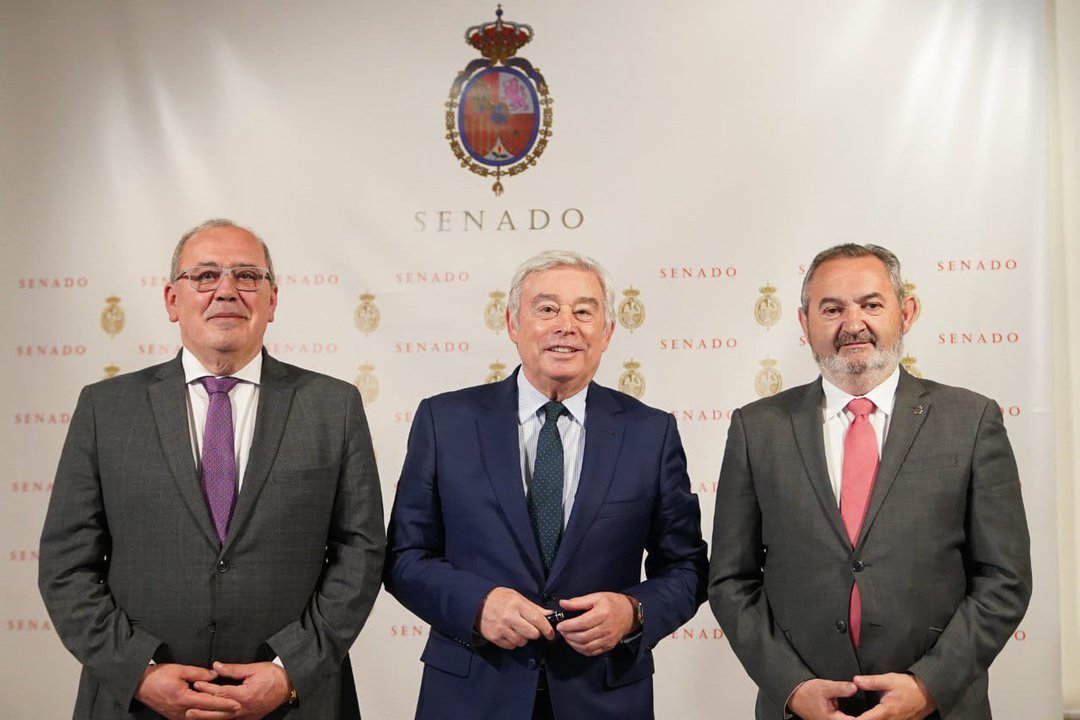 Juan Serrano, José Manuel Barreiro y José Manuel Balseiro, senadores del PP en Lugo