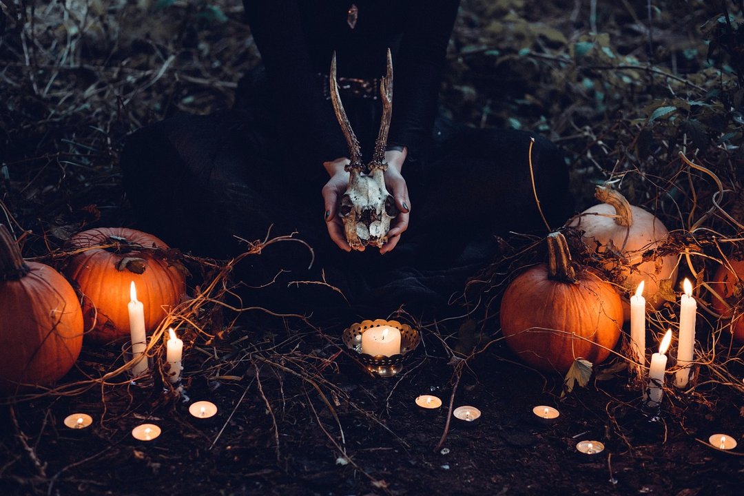 Halloween, samaín, terror, calabazas