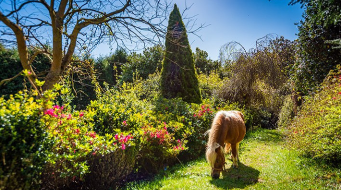 Fotografía de Turismo de Asturias