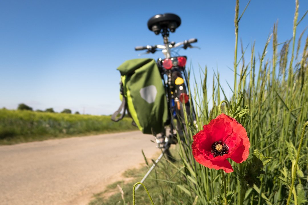 Bicicleta en el campo