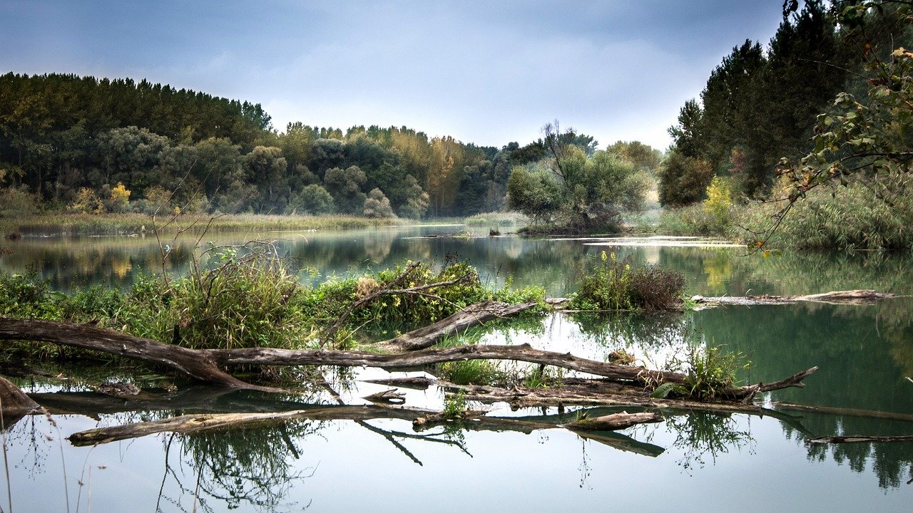 Río, ríos.