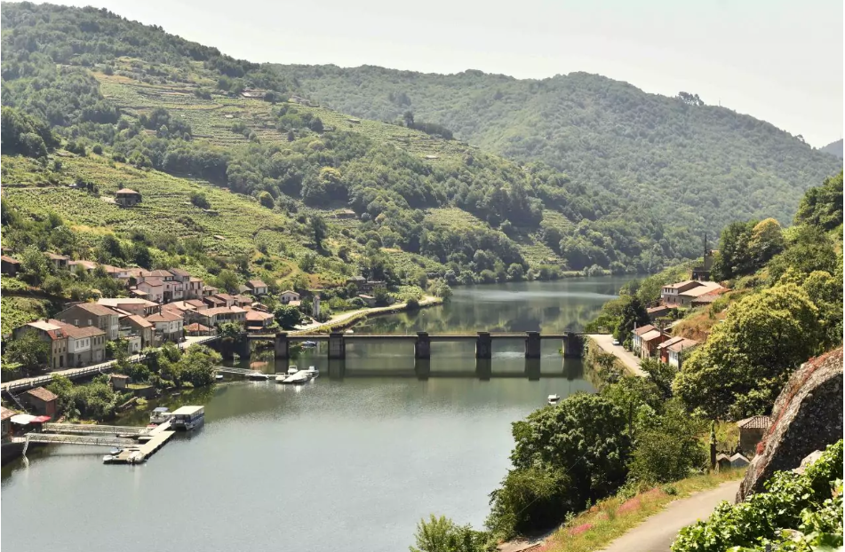 Chantada Ribeira Sacra Belesar