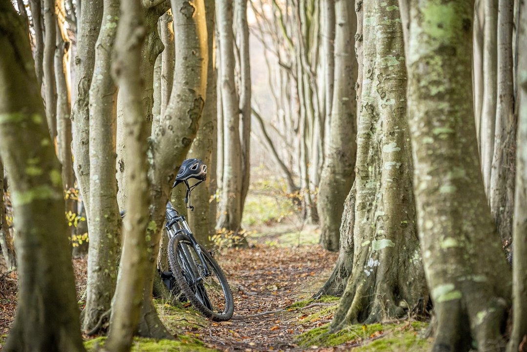 Ciclismo, mountain bike, btt