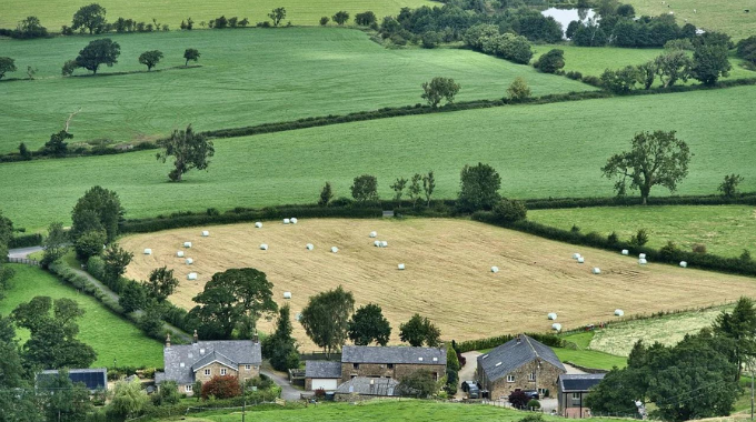 Medio Rural