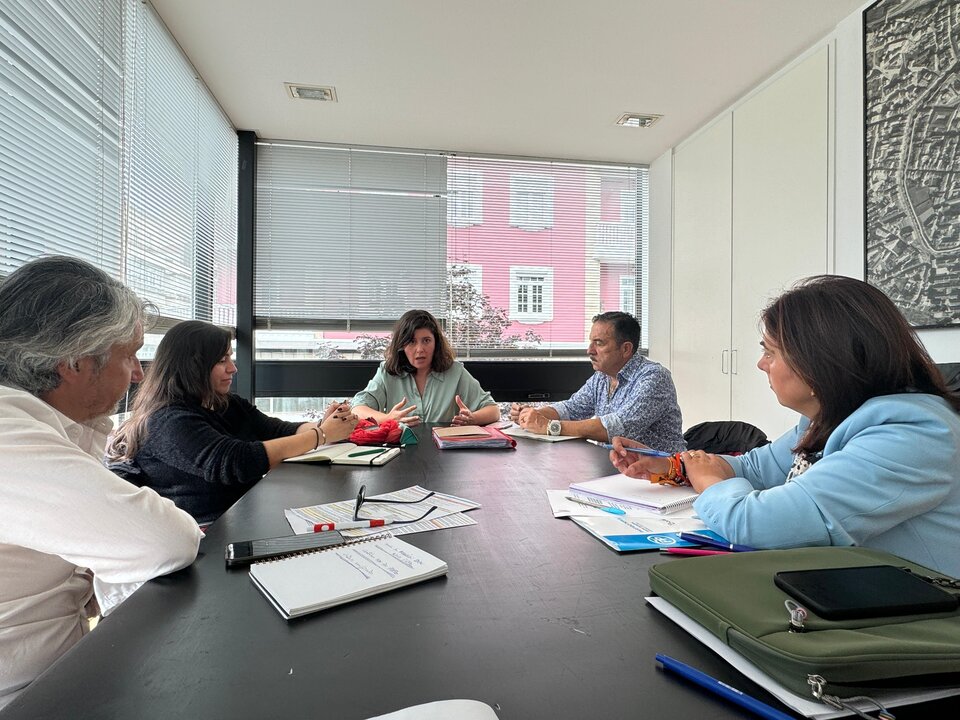 Reunión entre Elena Candia y representantes del Colexio de Arquitectos