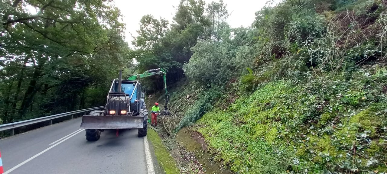 Trabajos de limpieza y desbroce en carreteras de titularidad autonómica