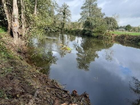 Limpieza del río Neira en Láncara