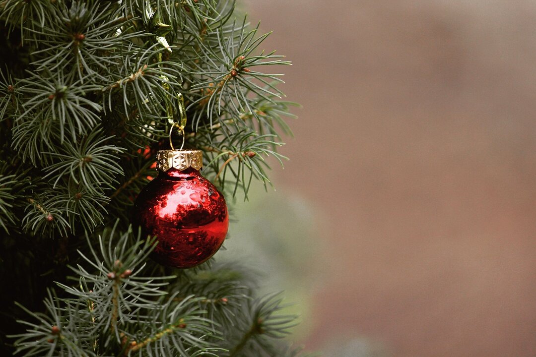 navidad arbol