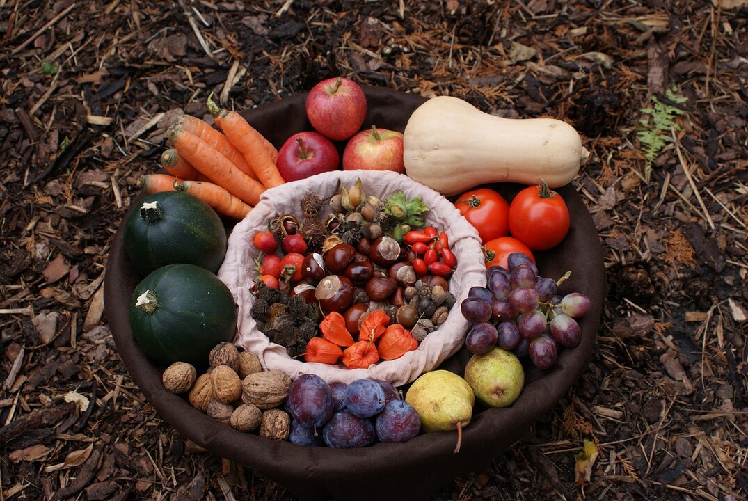 cesta otoño