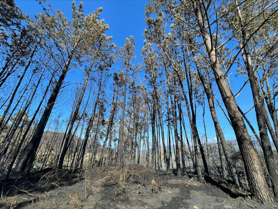 incendios medio rural asturias