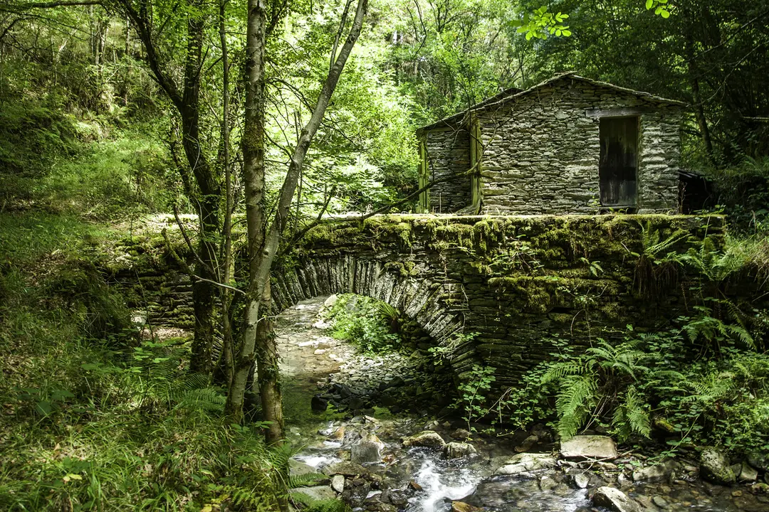 Terras de Burón